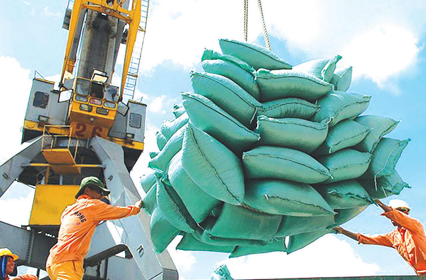 Trong tương lai, Việt Nam vẫn là nguồn cung lúa gạo bền vững