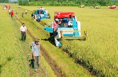 TÍCH TỤ RUỘNG ĐẤT VÀ NÔNG NGHIỆP CNC