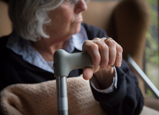 Phát hiện thêm 42 gene liên quan đến nguy cơ mắc bệnh Alzheimer