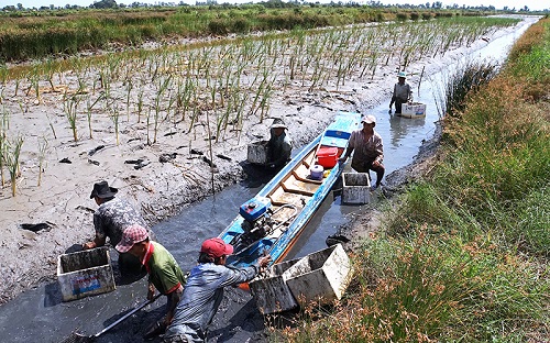 BIẾN ĐỔI KHÍ HẬU Ở VIỆT NAM