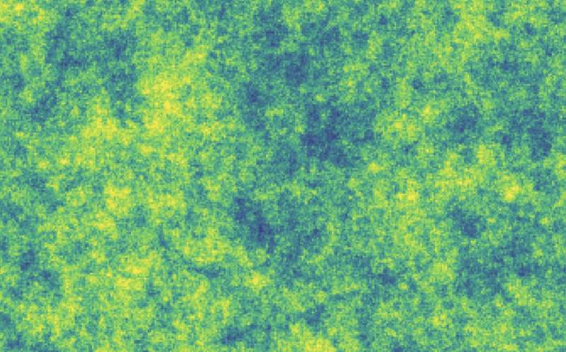 Dùng các phương pháp nhóm tái chuẩn hóa để tìm hiểu về cách não xử lý thông tin