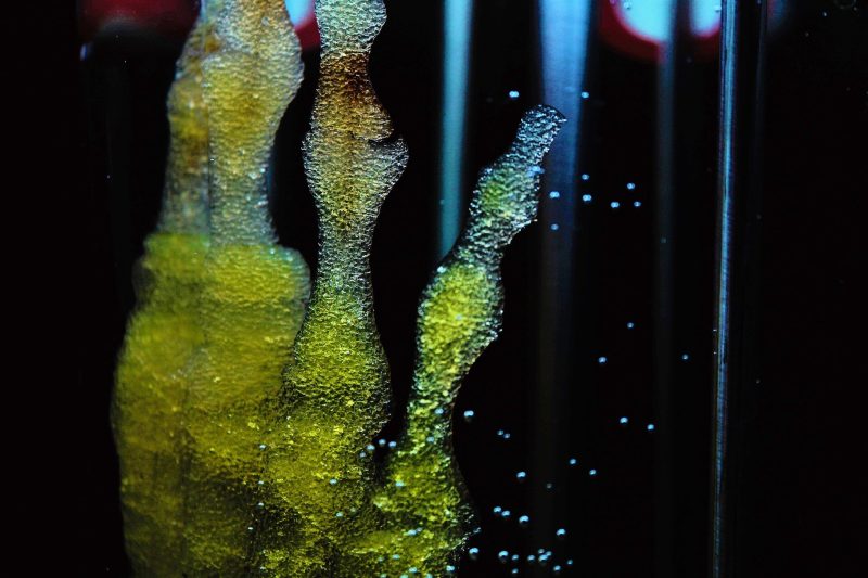 Phương pháp mới tạo ra ruột từ tế bào gốc