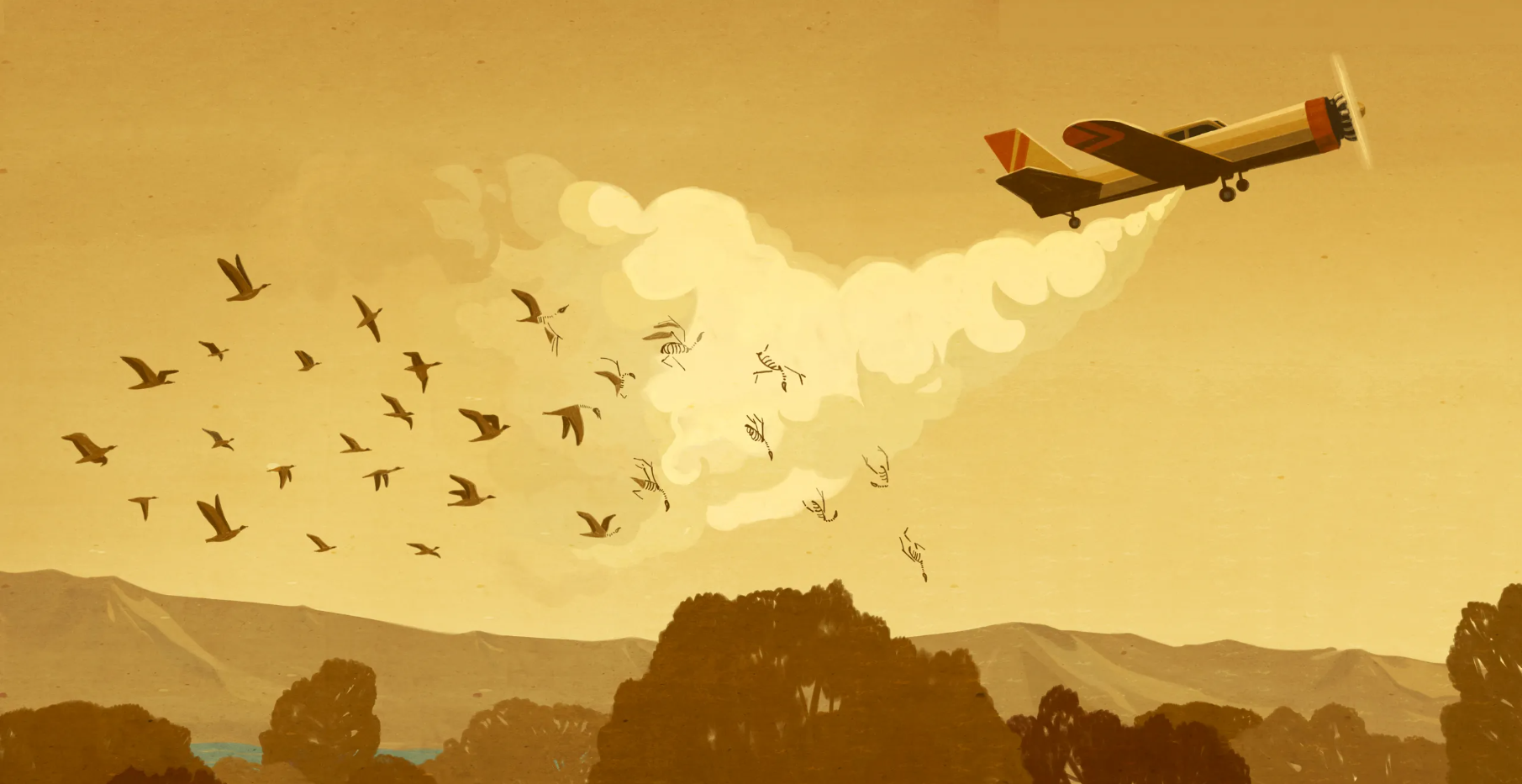 Nông nghiệp sinh thái: Một triết lý sống