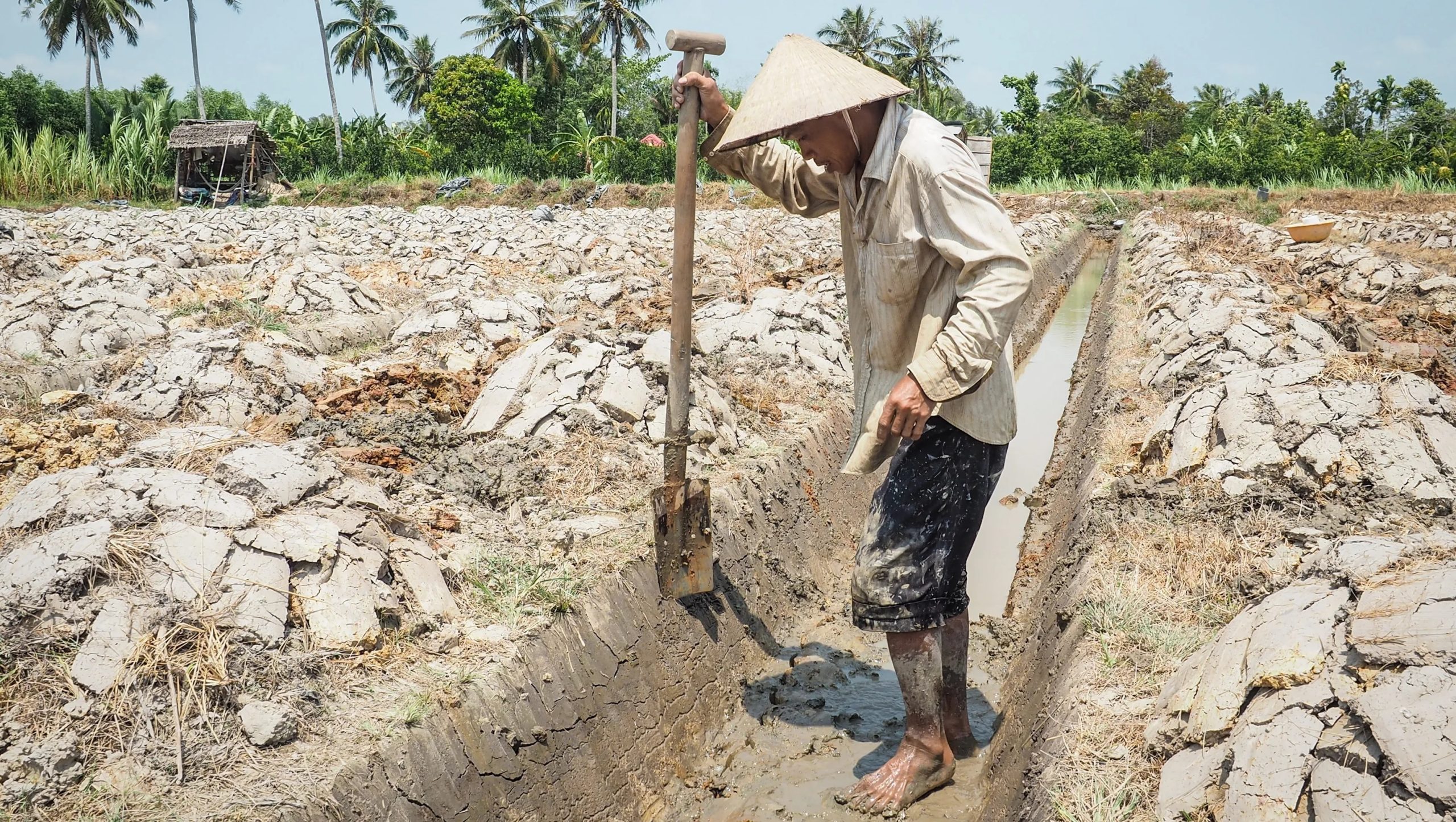 Hạn hán ở Việt Nam: Đâu chỉ mỗi chuyện thiếu nước, hụt mưa?