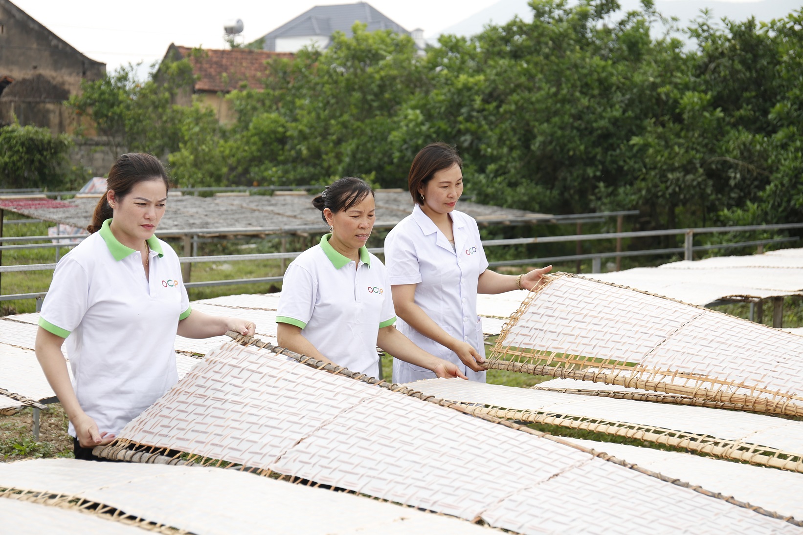 Điều gì ảnh hưởng đến năng lực đầu tư cho các công nghệ xanh?