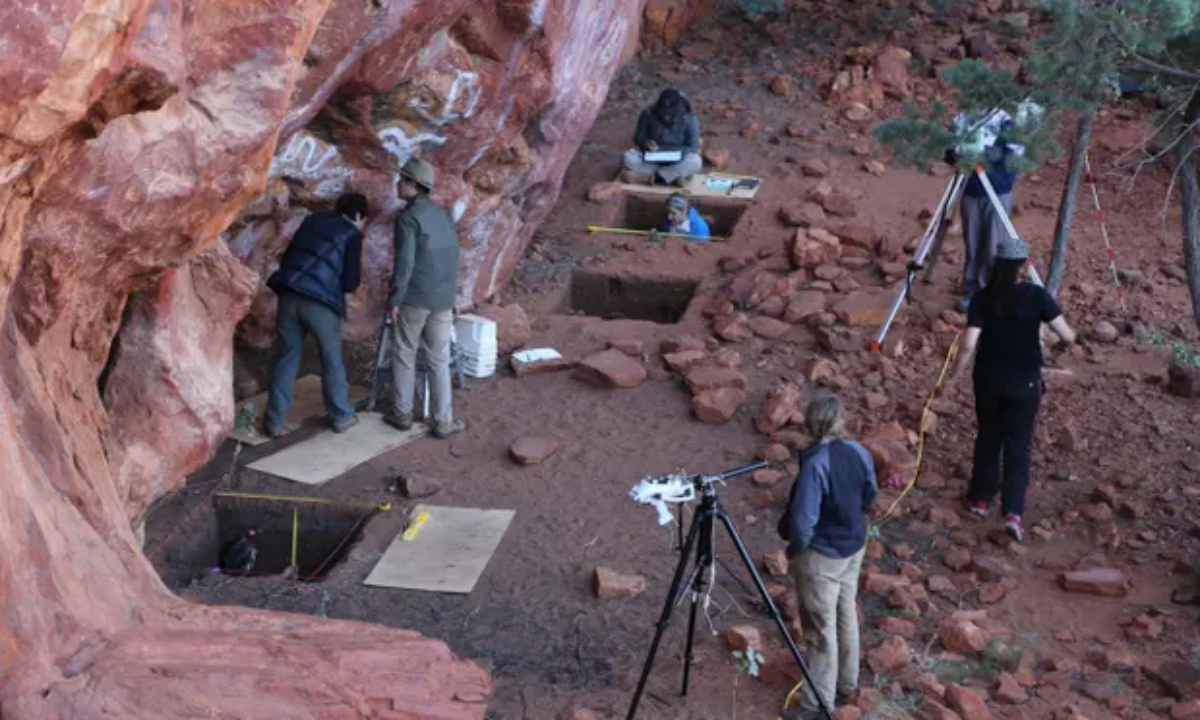 Soi chiếu cây keo: Một lát cắt về lịch sử nước Úc