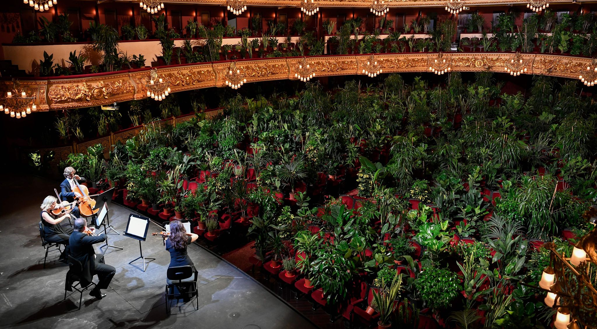 Chuyển các phân tử thành âm nhạc?