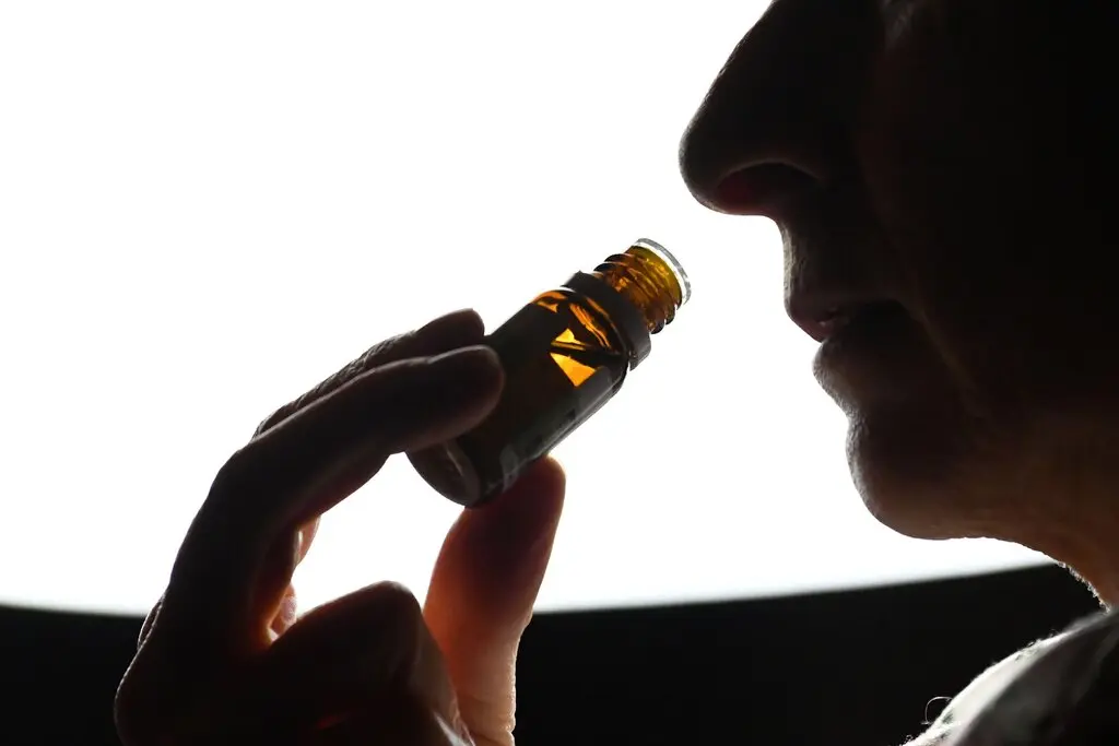 Khứu giác của con người đang dần thoái hoá?