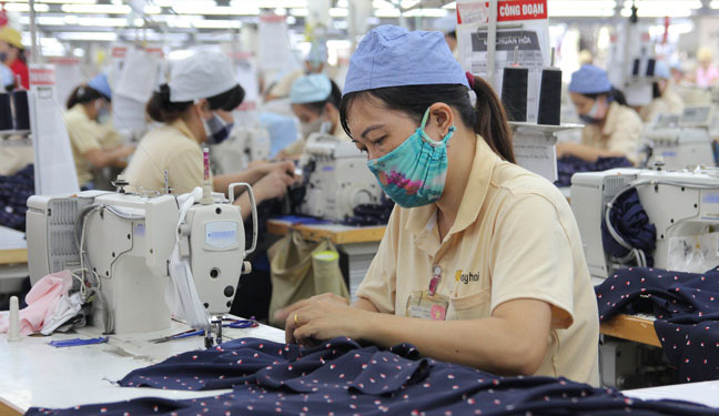 Thị trường lao động Việt Nam: Tỷ lệ nữ cao hơn trung bình toàn cầu và khu vực