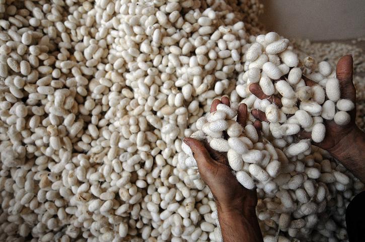 Dùng tơ lụa để thay thế một số loại vi nhựa