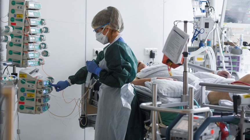 Khám phá mới có thể loại bỏ dược phẩm từ intestine của lợn