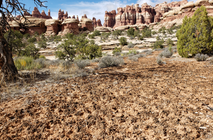 Lớp đất phủ đang bị phá hủy bởi biến đổi khí hậu