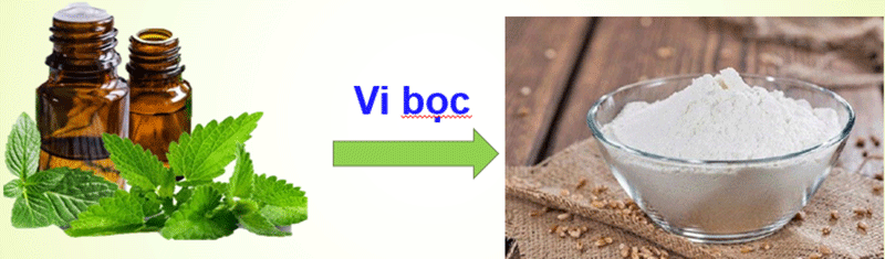 Công nghệ đưa tinh dầu thực vật dạng lỏng sang dạng bột