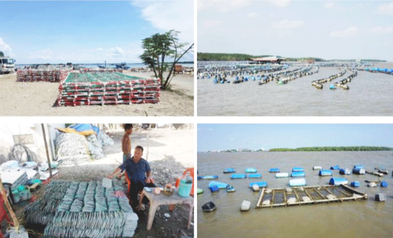 Mô hình nuôi trồng thủy sản bền vững tại TPHCM