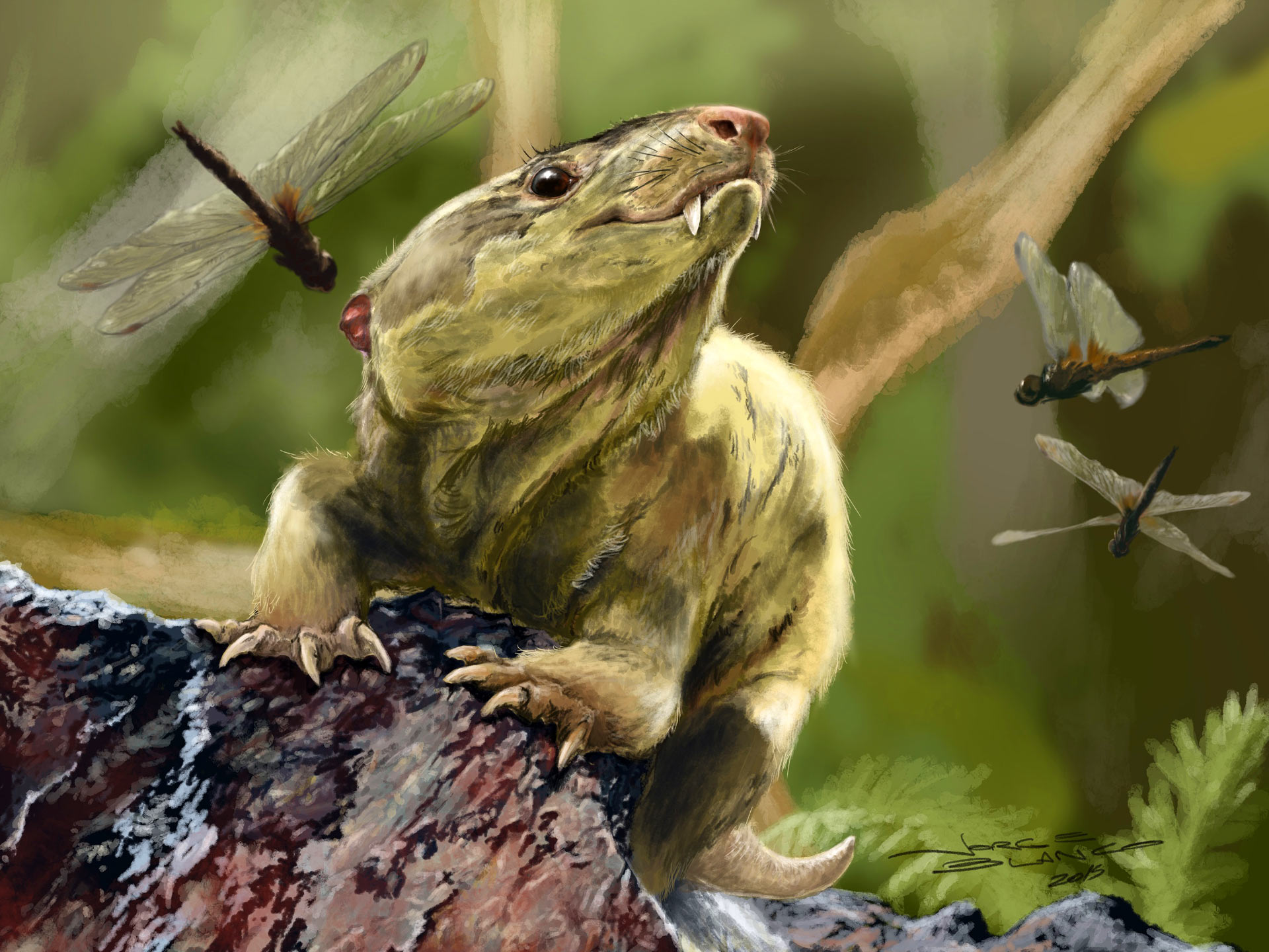 Tái tạo bộ gene của tổ tiên chung của tất cả các loài động vật có vú