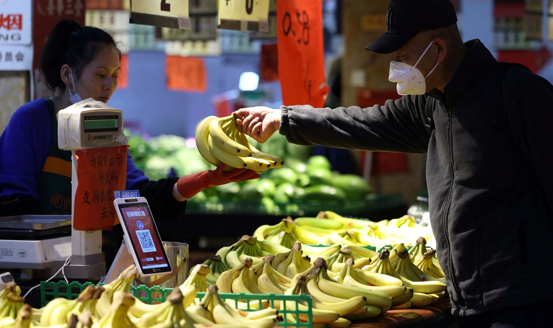 Cuộc kiếm tìm các tổ tiên bí ẩn của chuối