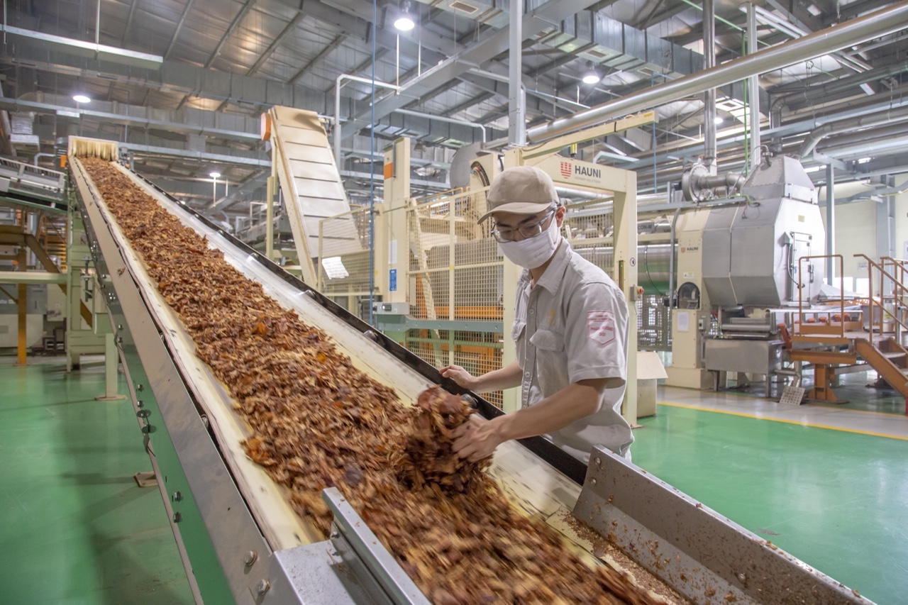 Ngành công nghiệp thuốc lá VN: Lợi bất cập hại