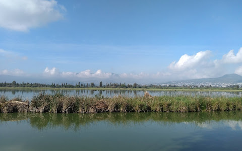 Khám phá 500.000 năm lịch sử khí hậu ở Trung Mexico