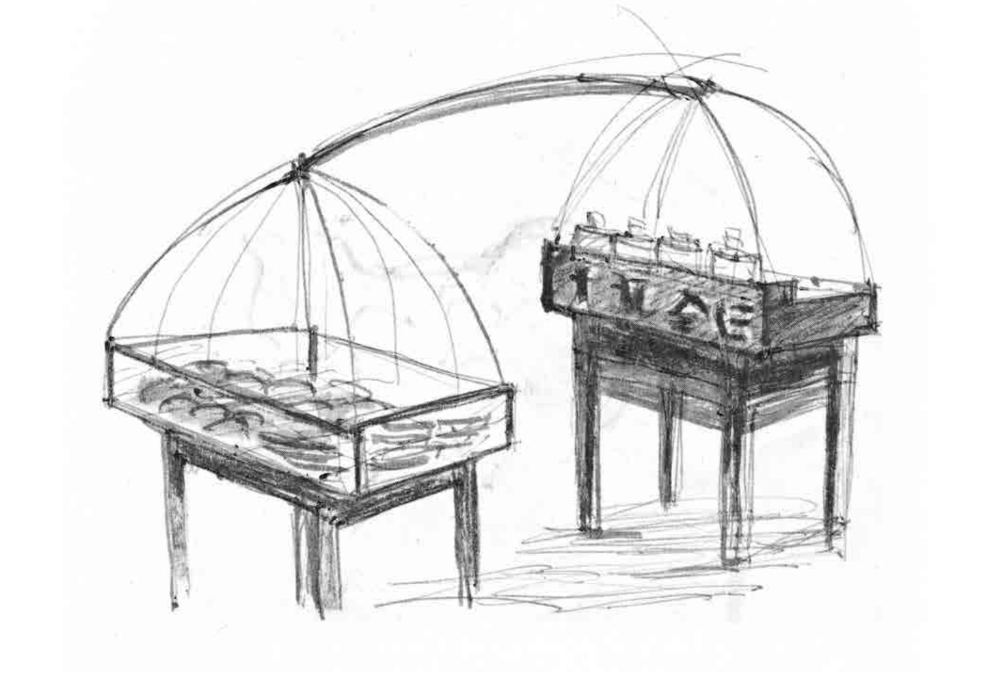 Cảm thức về cái đẹp của người Trung Hoa