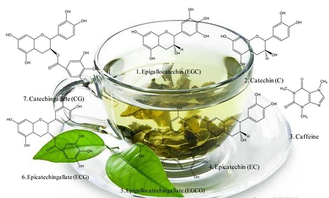 Hóa học trong tách trà