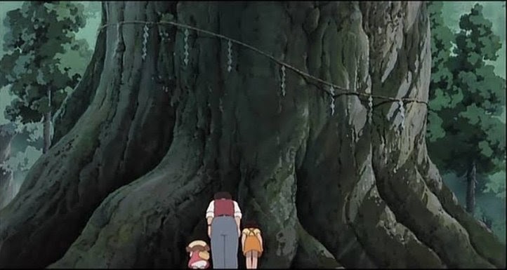 Khí hậu và địa lý phát triển những kết nối tinh thần giữa cây đại thụ với người