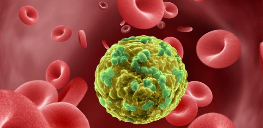 Các tế bào ung thư có thể chủ động thích nghi để “né” hệ thống miễn dịch