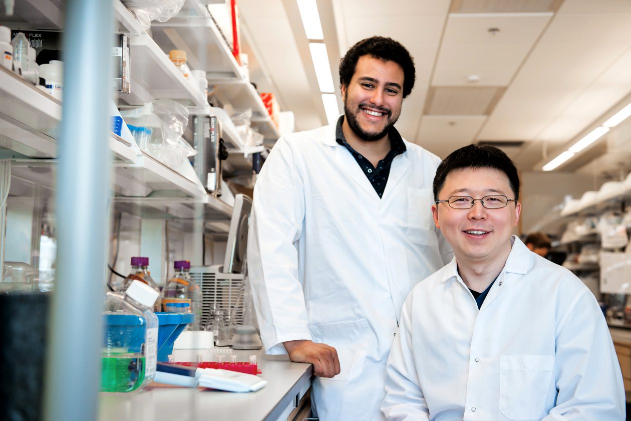 Khám phá hệ thống mới có thể chỉnh sửa hệ gene người