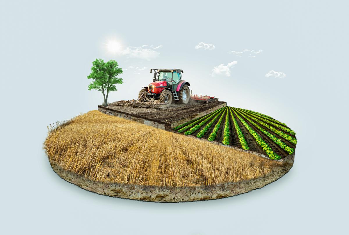 Bảo vệ hệ sinh thái đất: Có cứu vãn được nông nghiệp ?