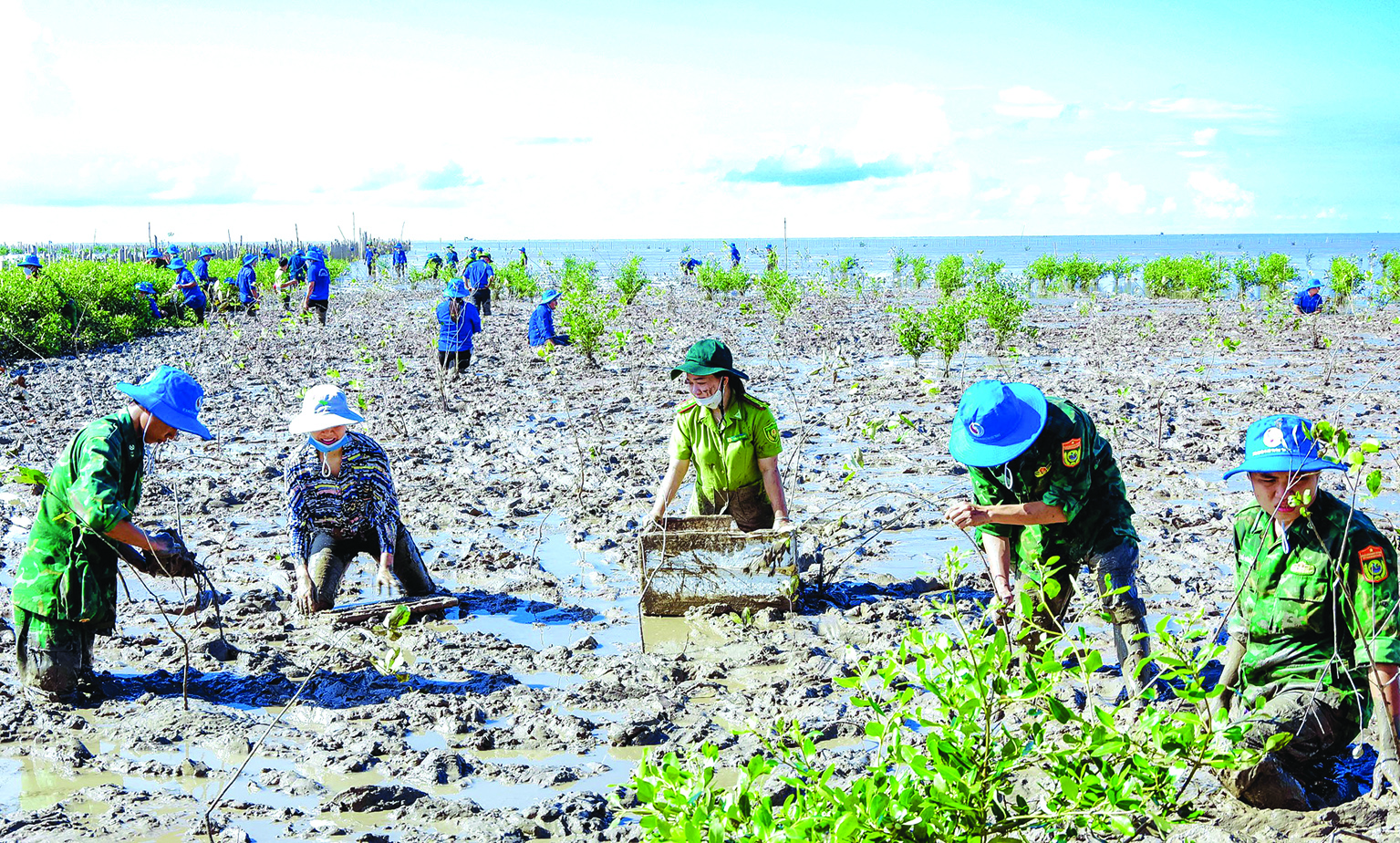Còn nhiều thách thức trong giảm thiểu nạn phá rừng 