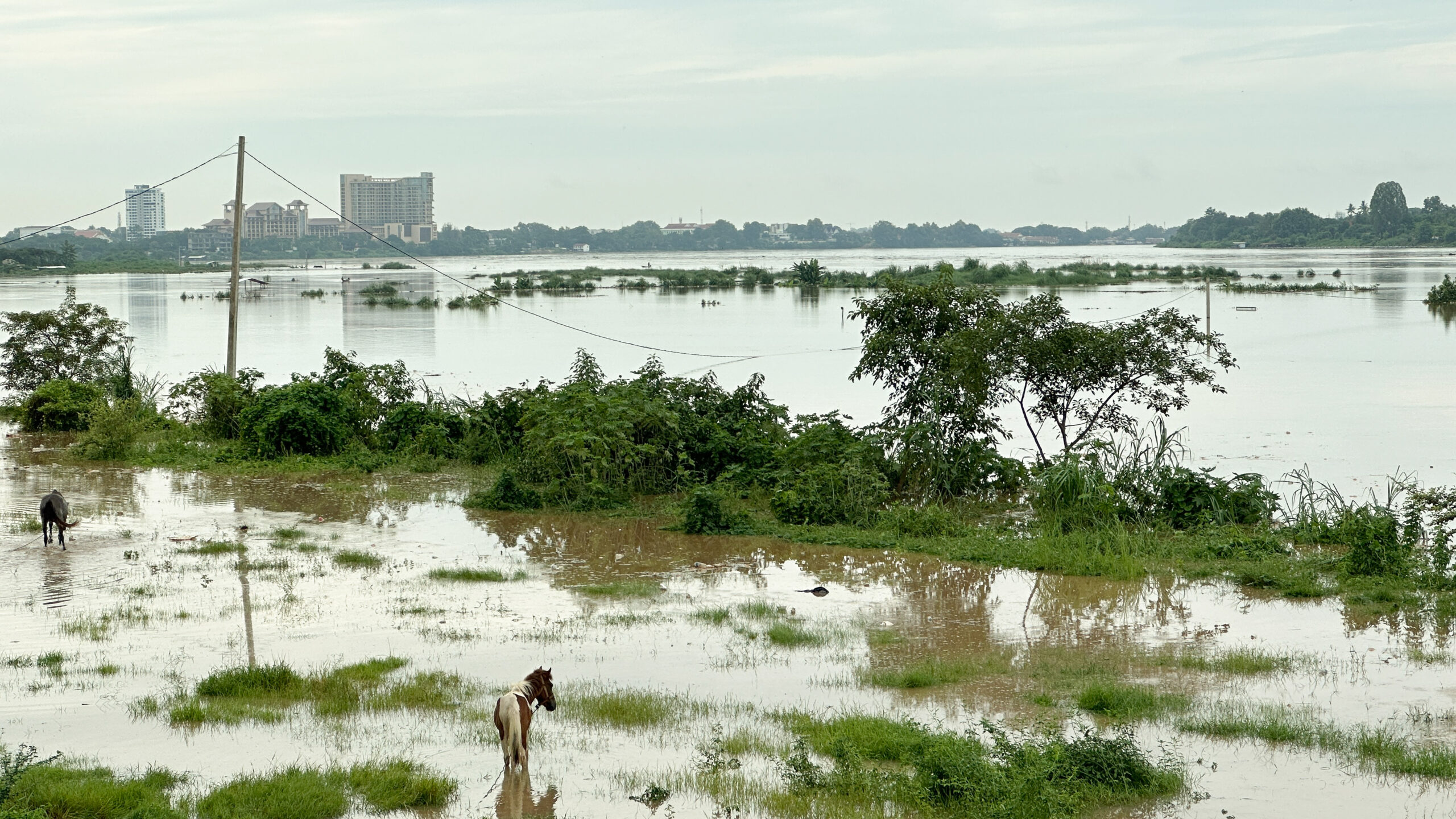 Mực nước sông Mê Kông dâng nhanh do mưa và thủy điện xả nước