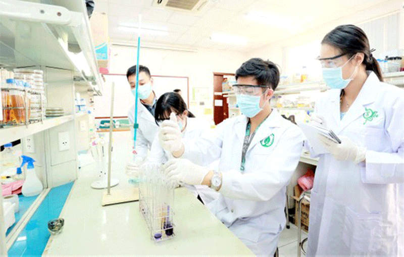 Tuyển chọn công trình cho Sách vàng Sáng tạo Việt Nam