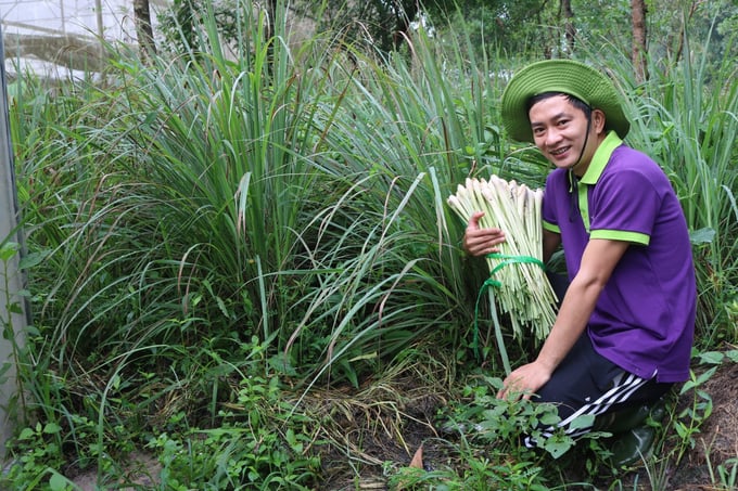 Quy trình công nghệ phân lập vi sinh vật bản địa