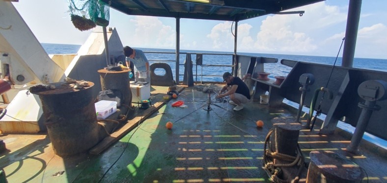 Hợp tác Việt – Nga: Những triển vọng mới