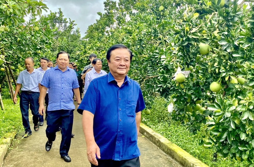 Khi khoa học gặp gỡ cuộc sống