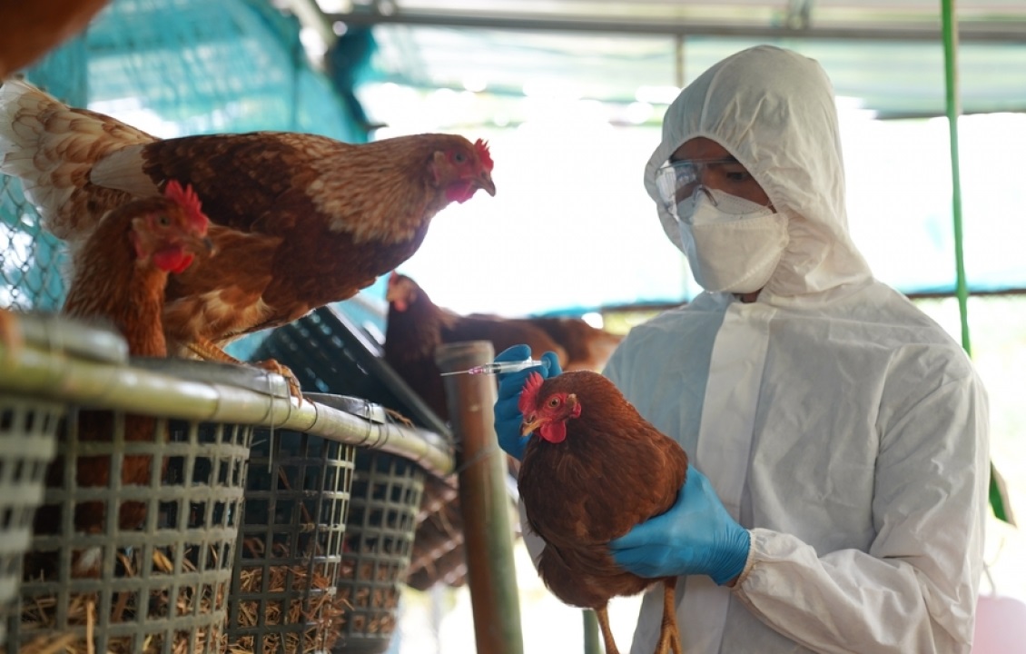 Sự đe dọa của đại dịch tiếp theo đòi hỏi phải hành động từ bây giờ