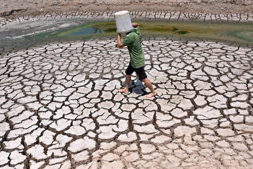 Hạn mặn ở ĐBSCL: Đâu là giải pháp căn cơ ?  