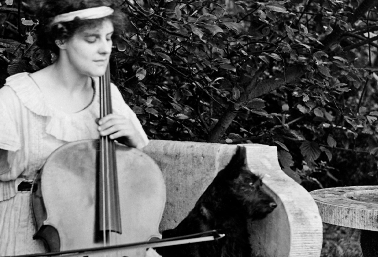 Cello và chim sơn ca