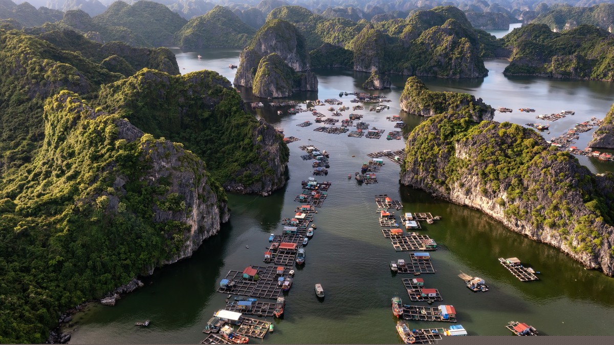 Nơi đất liền gặp biển: Bảo tồn di sản văn hóa vùng biển đảo Đông Bắc (Kỳ 1)