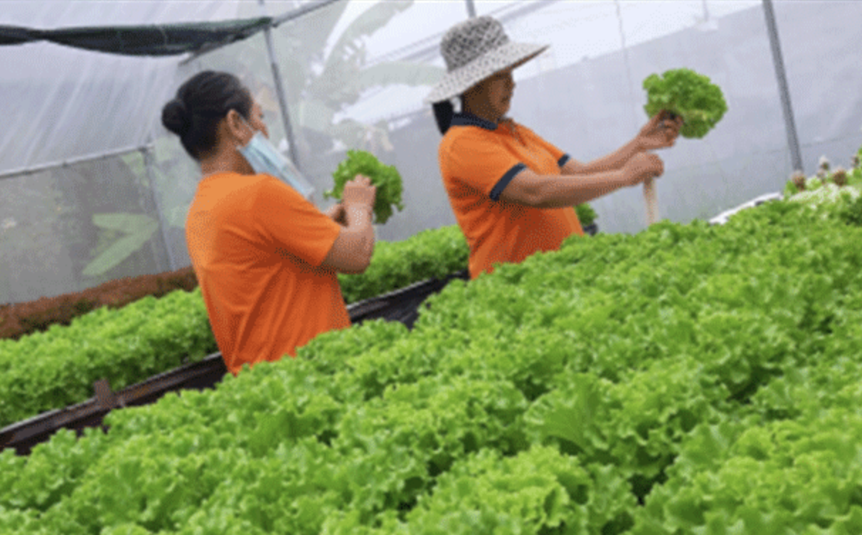 Thúc đẩy hoạt động ứng dụng, chuyển giao, đổi mới công nghệ và đổi mới sáng tạo khu vực phía Nam