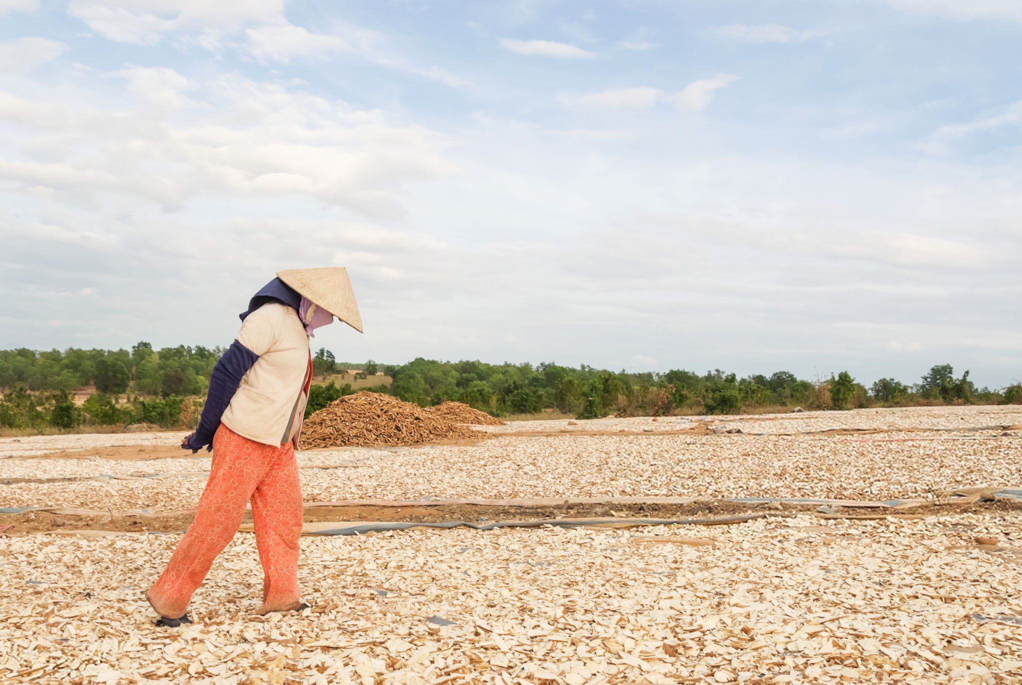 Biến đổi khí hậu: Đa dạng sinh kế là giải pháp quan trọng 