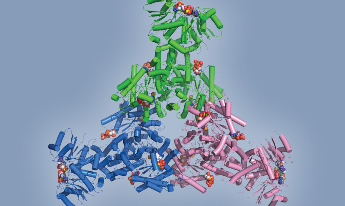 Một hóa học mới cho CRISPR