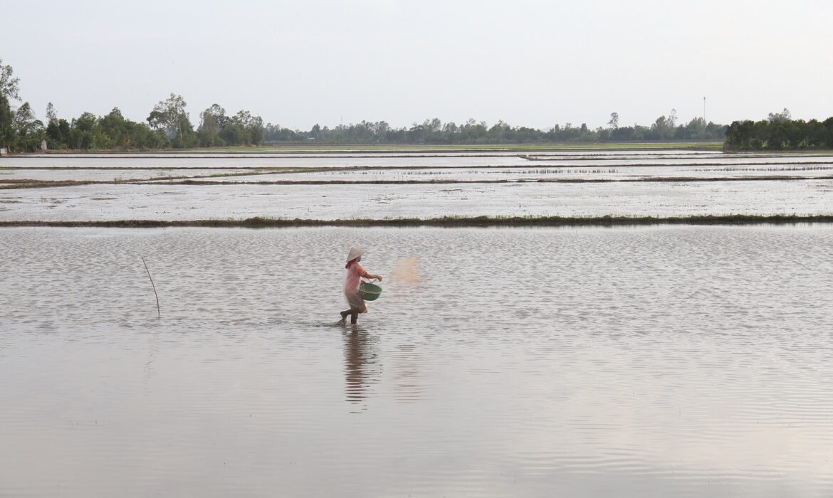 Bốn nguyên nhân làm ô nhiễm nguồn nước ở Vĩnh Long