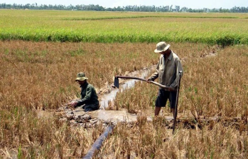 Tương lai xâm nhập mặn ở ĐBSCL: Dòng chảy thượng nguồn vẫn có tác động lớn