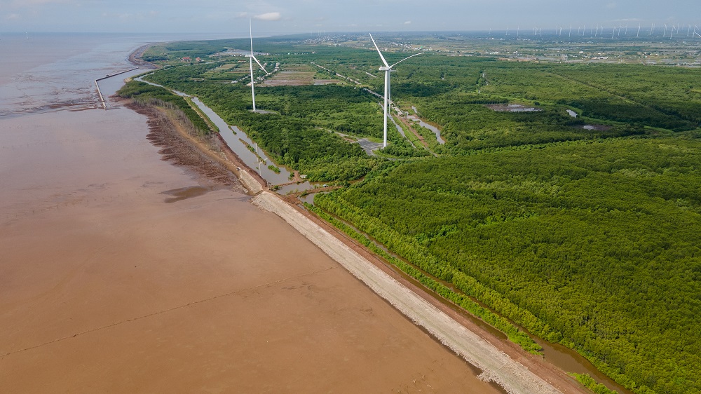 Rừng ngập mặn giúp tiết kiệm 855 tỷ USD chống bão lũ trên toàn cầu