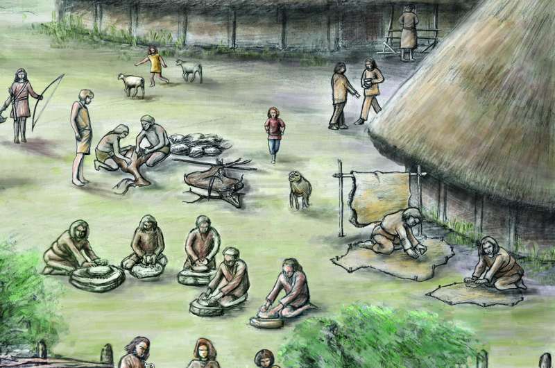 Thực đơn của nông dân 5.000 năm trước không chỉ có ngũ cốc