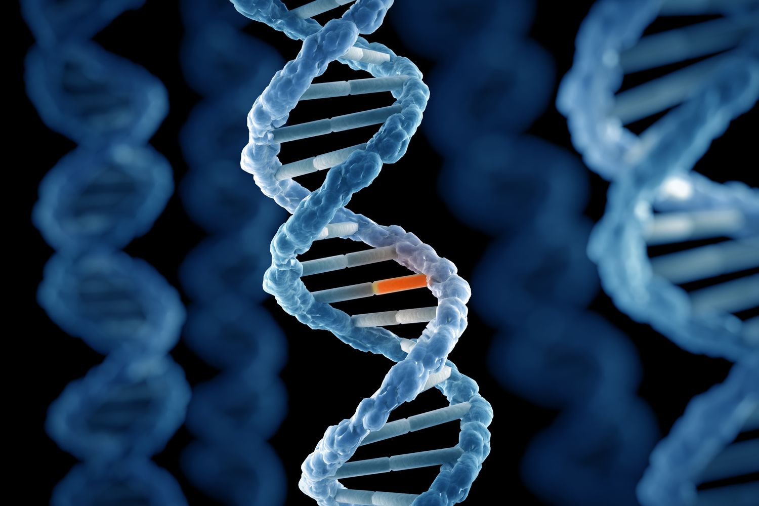 Một số vùng DNA có thể tiến hóa nhanh hơn nhiều so với hiểu biết trước đây