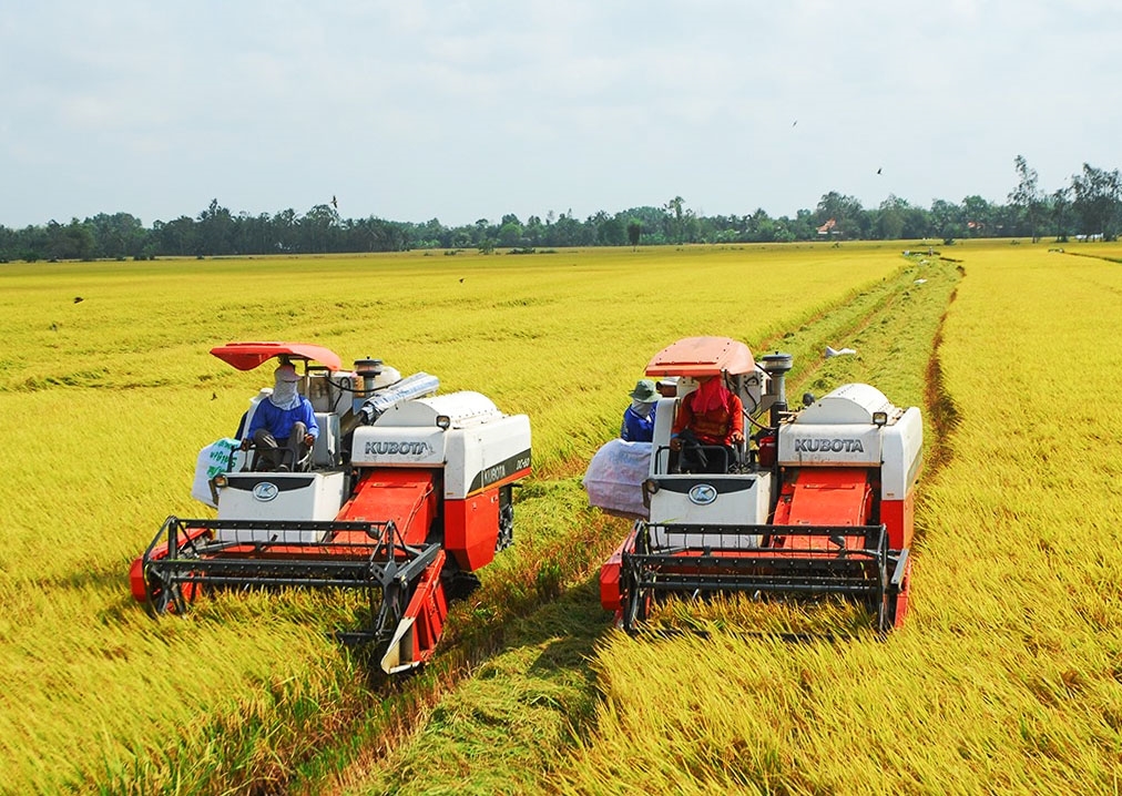 ĐBSCL: Sự bấp bênh nhân lực trong ứng phó biến đổi khí hậu