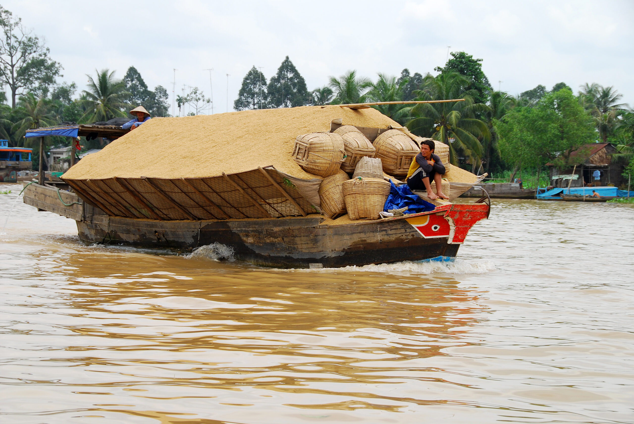 ĐSBCL: Chiến lược thích ứng có phù hợp với thay đổi môi trường và khí hậu tương lai không?