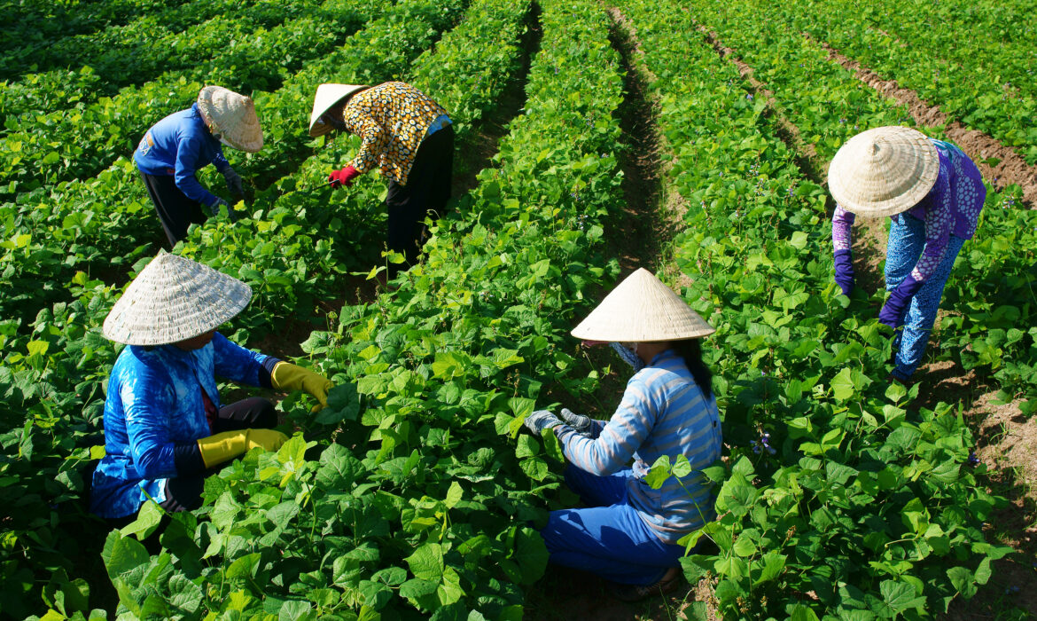 Sóng nhiệt tái định hình đói nghèo Sóng nhiệt tái định hình đói nghèo