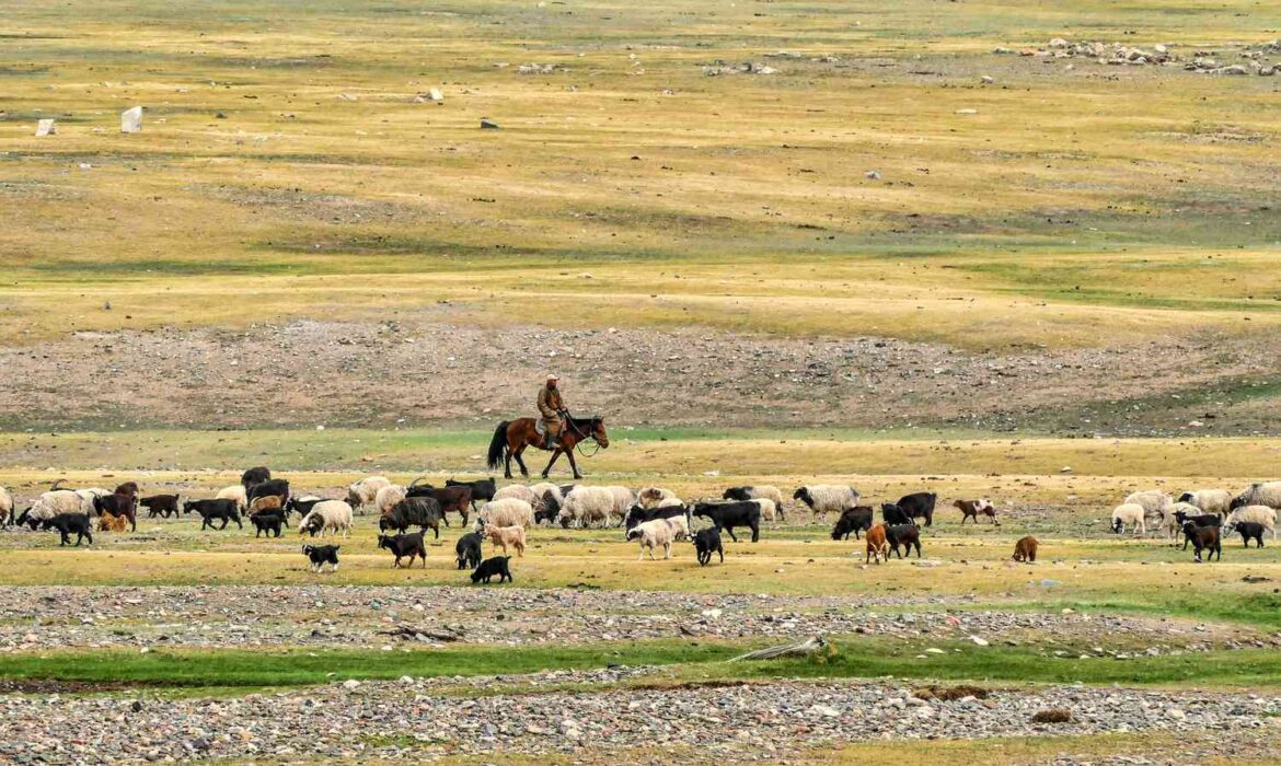 Các bệnh từ động vật lây sang người xuất hiện kể từ khi chúng ta bắt đầu nuôi gia súc Các bệnh từ động vật lây sang người xuất hiện kể từ khi chúng ta bắt đầu nuôi gia súc